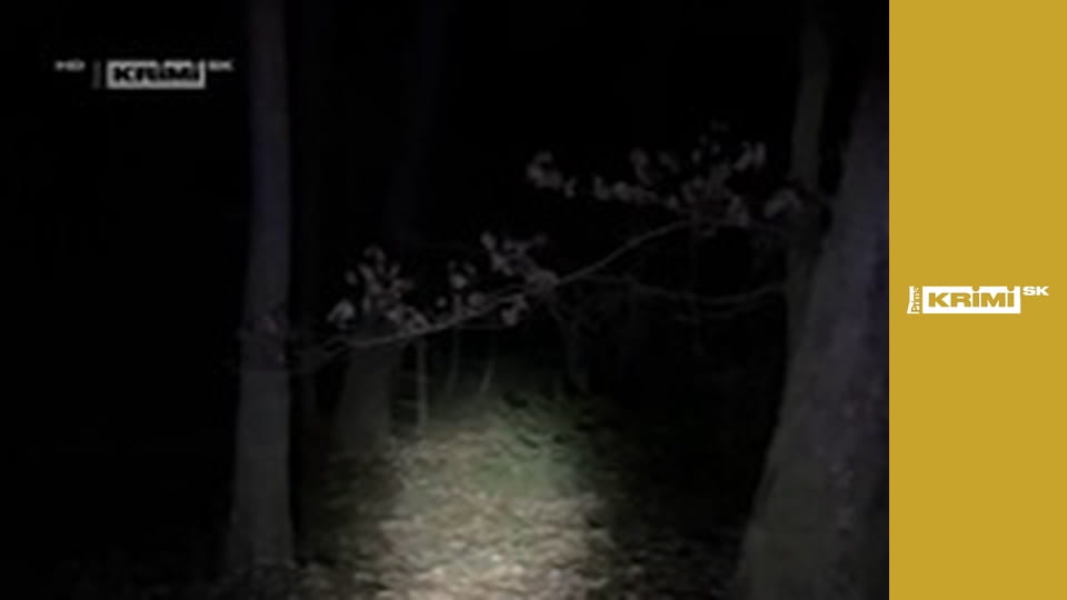 Nočné dobrodružstvo