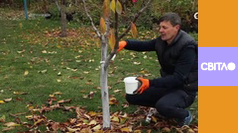 Добрий сад.