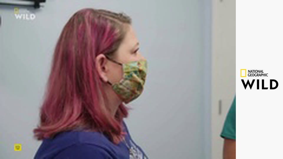 Critter Fixers: Ветеринары страны: Сборники S4E10