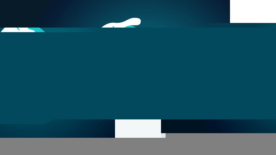 Дача бородача.