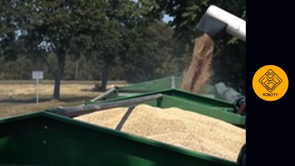 Żniwa na polskiej wsi *pierwszy raz w kombajnie