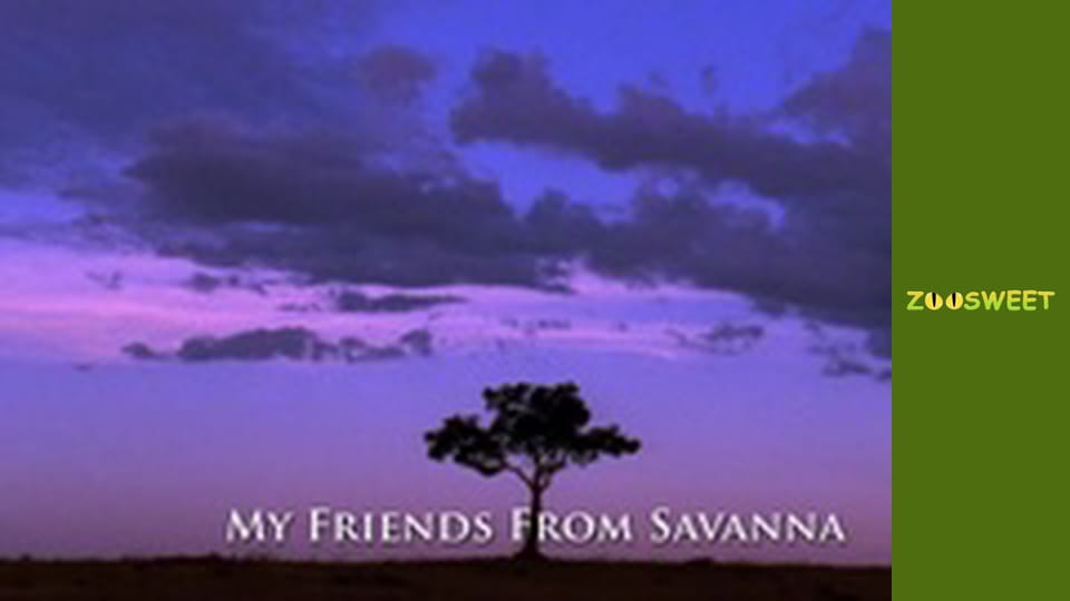 Моі друзі тварини. Малюки - серія 24