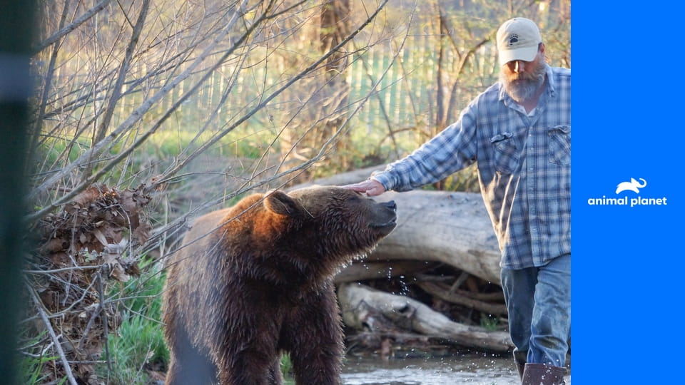 Проект "Гризли" S1E6 - Время отпустить