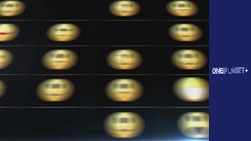 В поисках знаний. - cерия 7