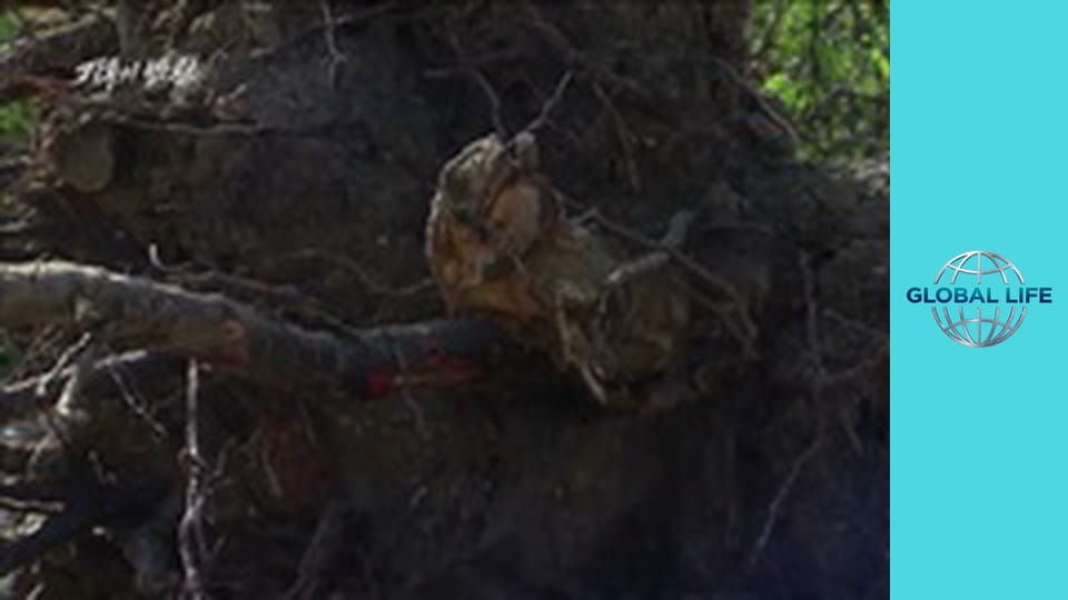 Боротьба з кліматом Сезон 1 Епізод 2