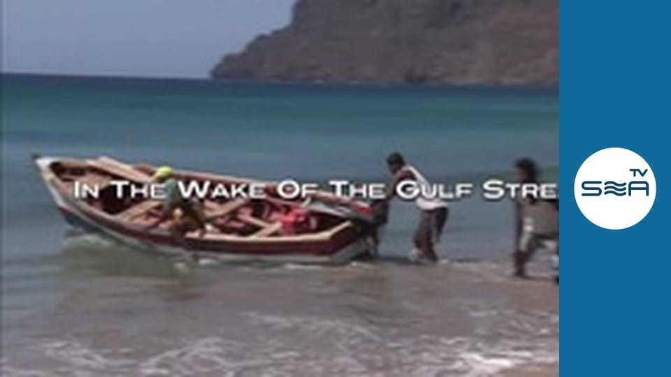 Слідом за Гольфстрімом