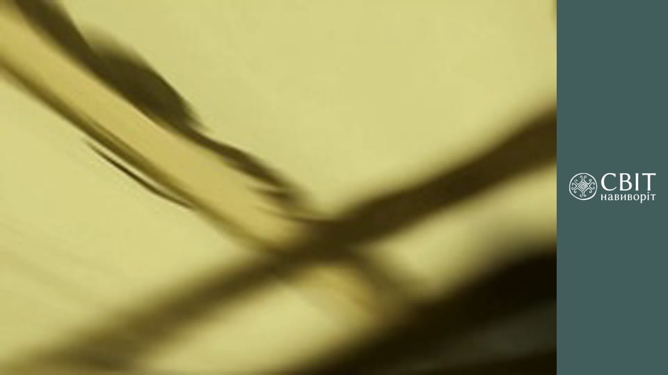 Сезон 10, Випуск 28, Бразилія