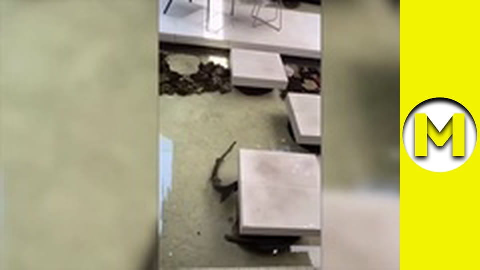 Max TV - сезон 1 - серія 130