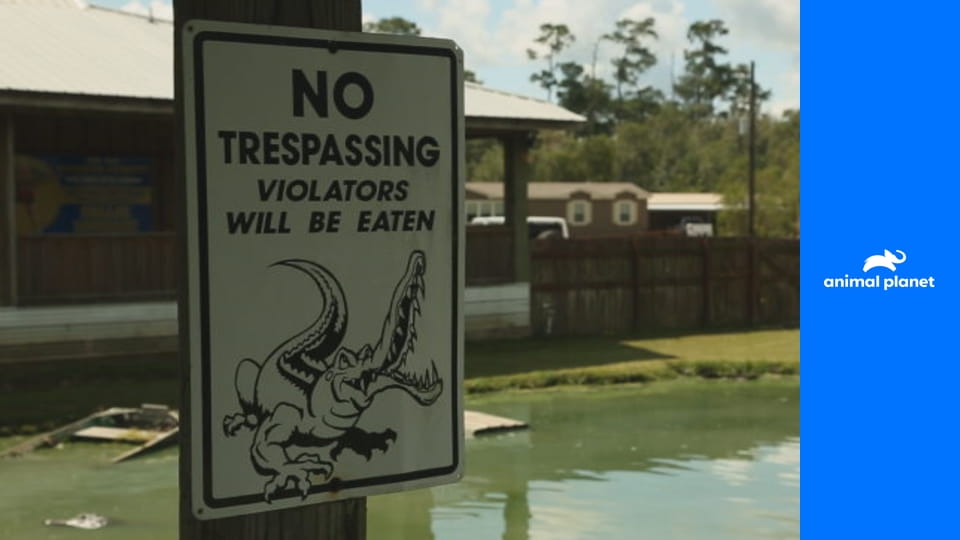 Правосудие Техаса S2E1