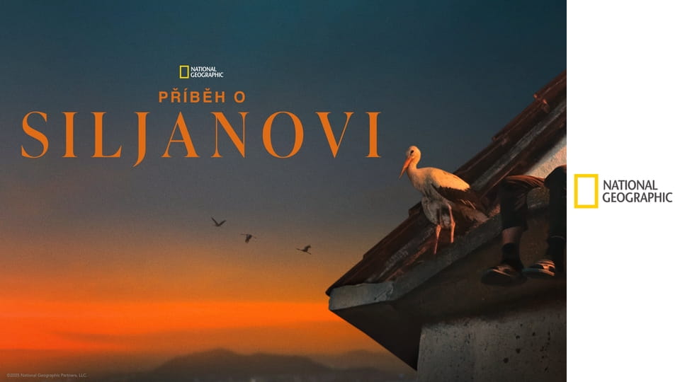 История Сильяна E1