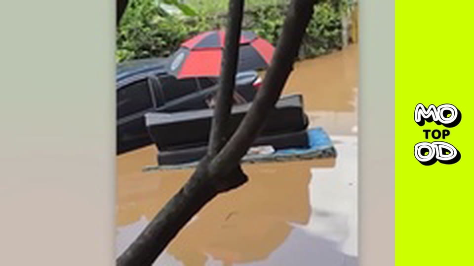 Top Mood, Сезон 2, Випуск 11