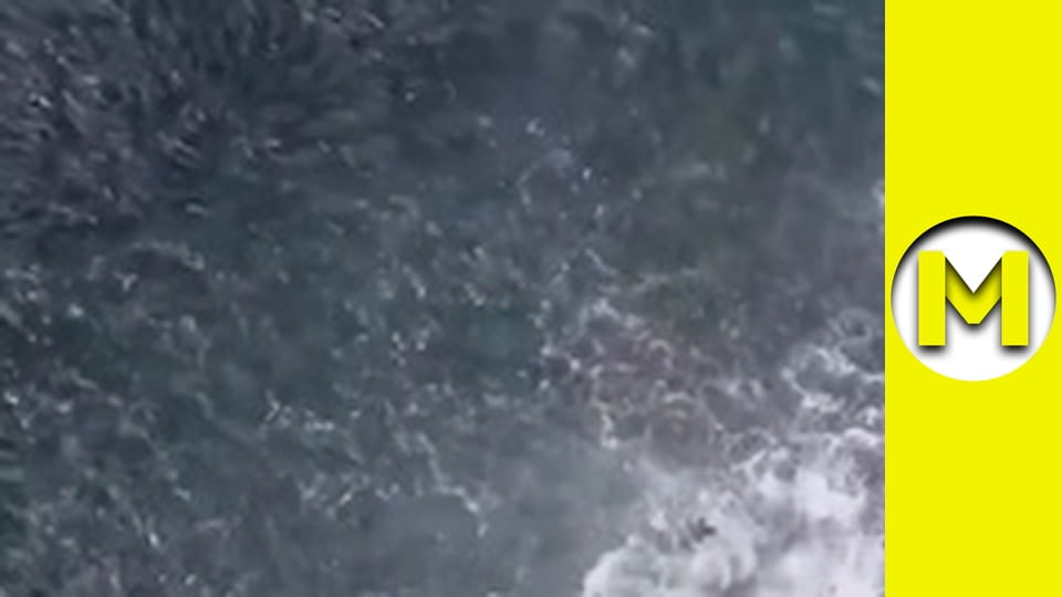 TOP (Max TV) - сезон 3 - серія 49