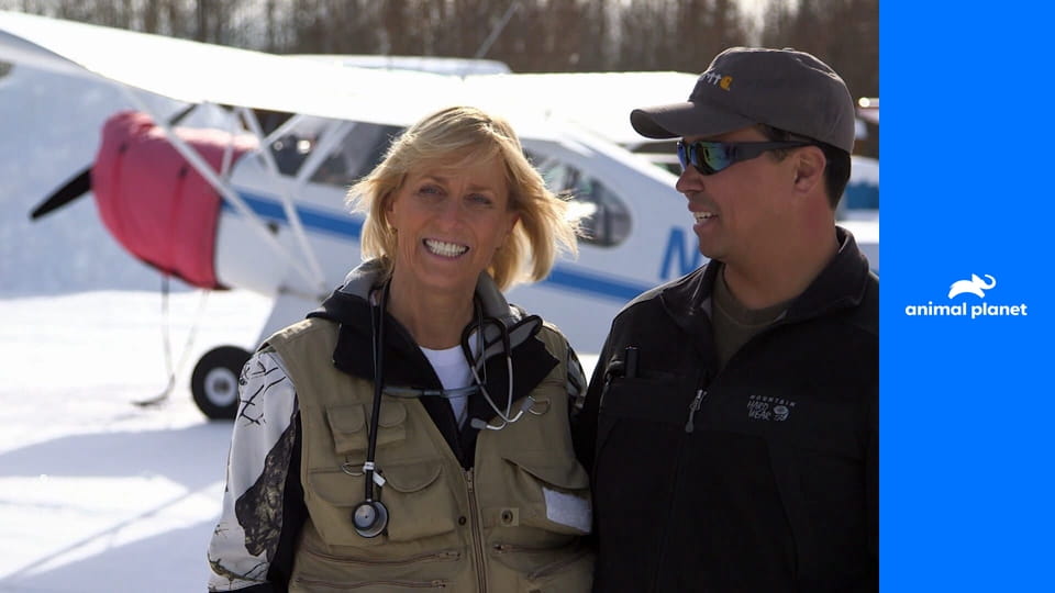 Доктор Ди: ветеринар Аляски S1E4 - Рассвирепевший жеребец