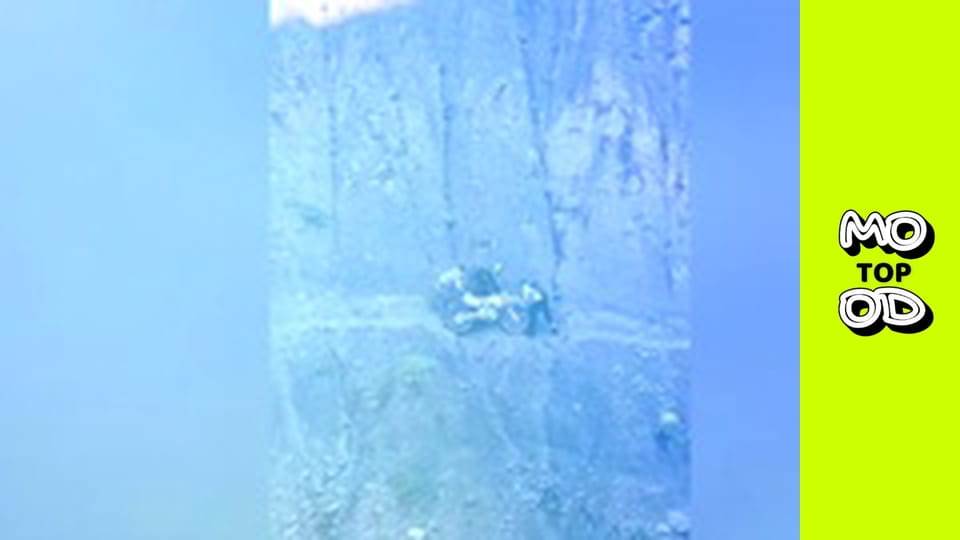 Top Mood, Сезон 2, Випуск 11