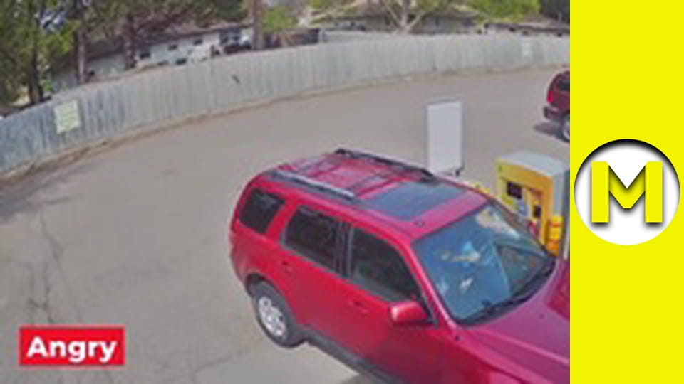 Max TV - сезон 1 - серия 16