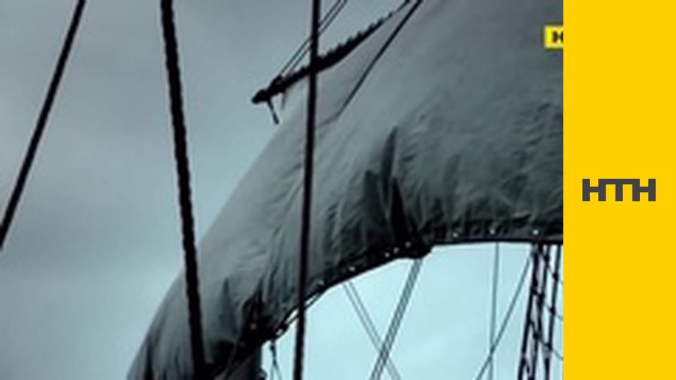 "Випадковий свідок".