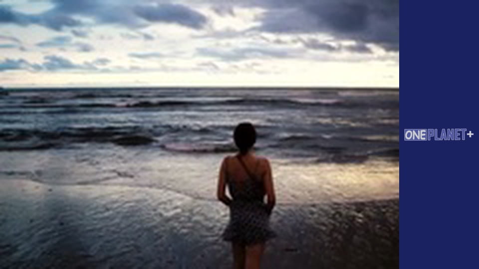 It is worth visiting. - episode 12