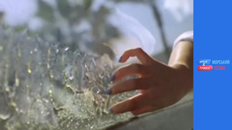 Sea Season 1 - Episode 1 - Hurghada