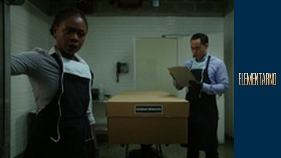 Елементарно Сезон 5 Епізод 19