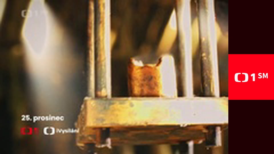 Zpátky do přírody - Každý svou cestou