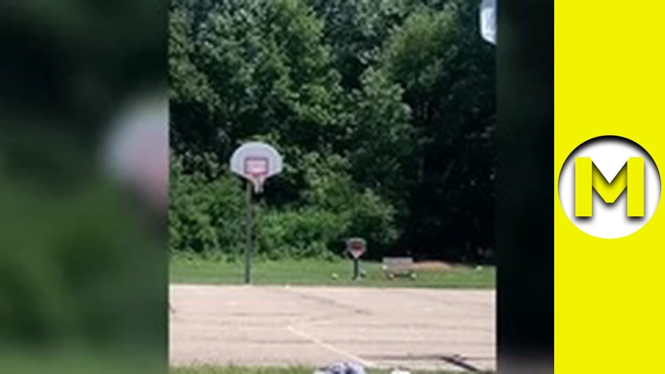 Max TV - сезон 1 - серия 100