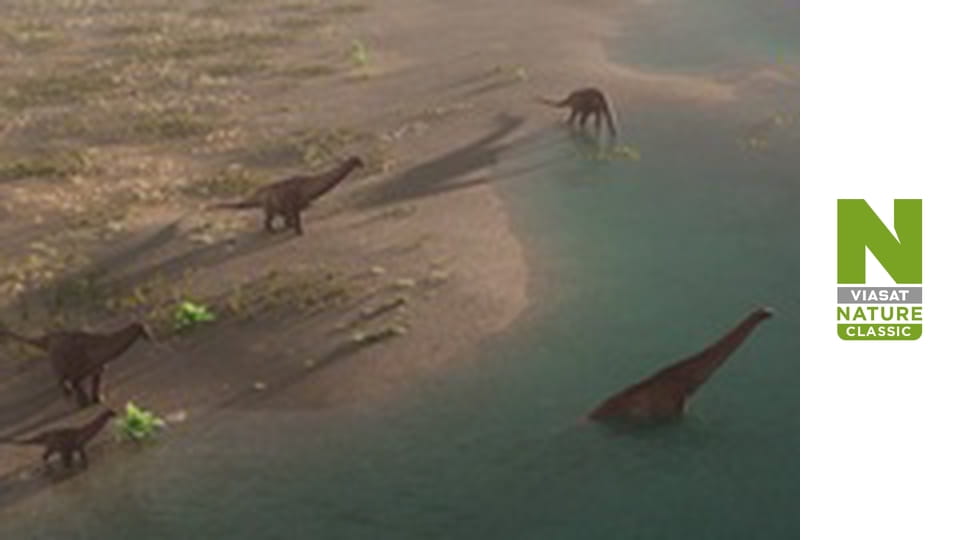 В поисках затерянных зверей Сезон 2 Эпизод 1