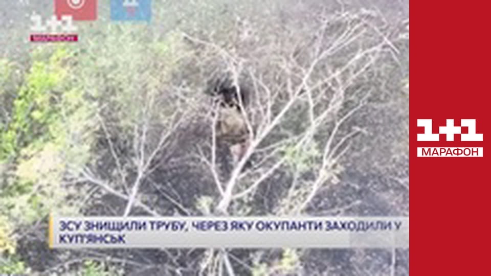 "Єдині новини". Телемарафон.