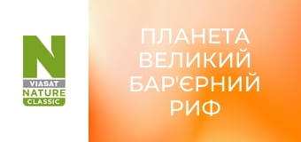 Планета Великий Барʼєрний риф - Воскресіння Рифа