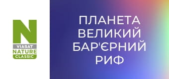 Планета Большой Барьерный риф - Воскрешение Рифа