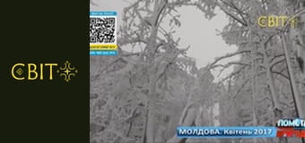Месть природы, 4 сезон, 26 эп.