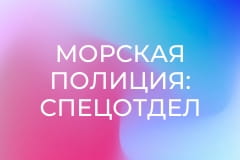 Т/с "Морская полиция: Спецотдел", 15 сезон, 1 и 2 с.