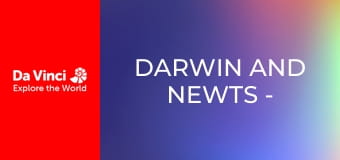 Darwin and Newts - Rainy Day Fun