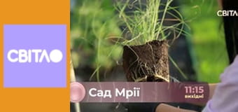 Містичні історії. Новий погляд з Олексієм Суровцевим, 14 еп.