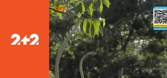 Загублений світ