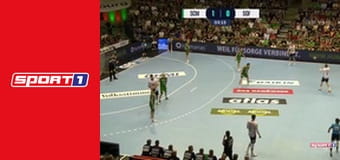 Гандбол. Чемпіонат Німеччини. Бундесліга. Фюхзе Берлін - Ганновер-Бургдорф.