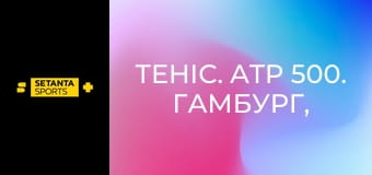 Теніс. ATP 500. Гамбург, Німеччина. Фінал.
