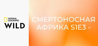 Смертоносная Африка S1E3 - Рифы