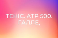 Теніс. ATP 500. Галле, Німеччина. 1/4 фіналу. Пряма трансляція.