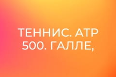 Теннис. ATP 500. Галле, Германия. 1/4 финала. Прямая трансляция.
