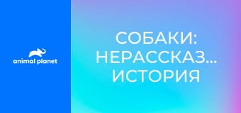 Собаки: Нерассказанная История S1E5 - Сами по себе