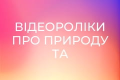 Відеороліки про природу та тварин.