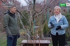Енциклопедія садівника