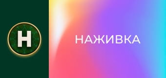 Наживка