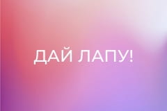 "Дай лапу!".