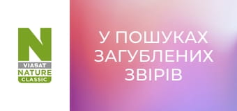 У пошуках загублених звірів Сезон 2 Епізод 4