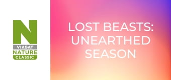 Lost Beasts: Unearthed Season 2 Episode 4