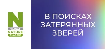 В поисках затерянных зверей Сезон 2 Эпизод 4