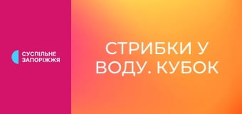 Стрибки у воду. Кубок світу. Суперфінал у Пекіні, Китай. Чоловіки. Синхронні стрибки. Трамплін 3 м.