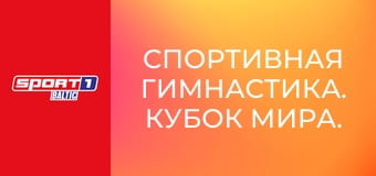 Спортивная гимнастика. Кубок мира. Этап 4 в Каире, Египет. День 1.