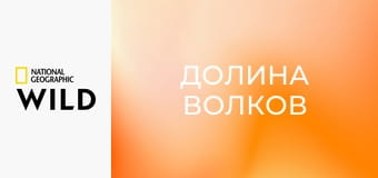 Долина волков